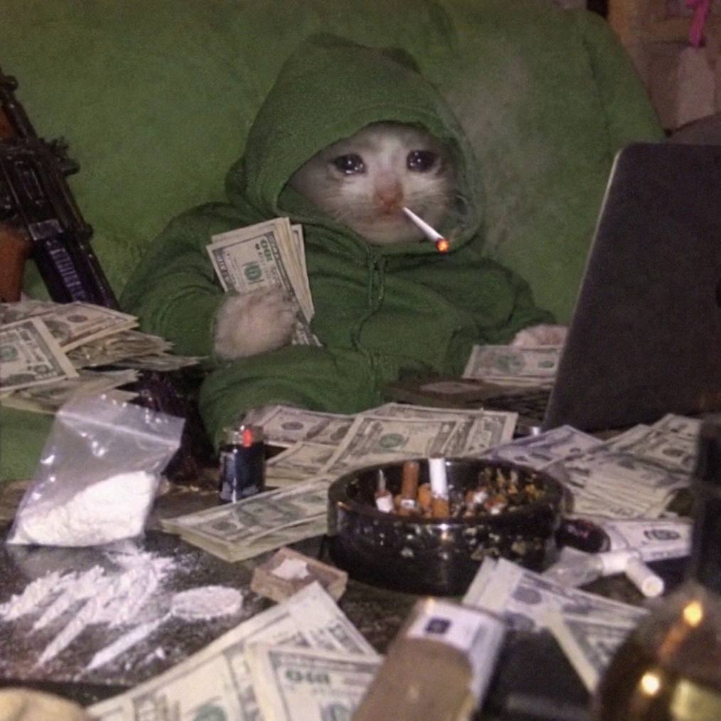 a crying white cat in a green hoodie on a green couch, holding a stack of cash